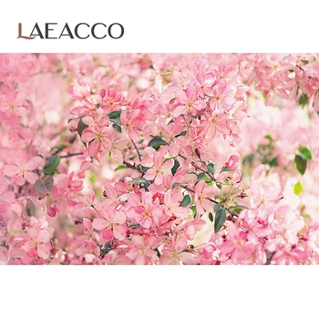 Laeacco Spomladi Cvetoči Rožnat Češnjev Cvet Latice Baby Tuš Panoramska Fotografija Ozadje Fotografsko Ozadje Foto Studio