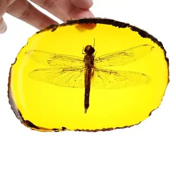 Naravno oranžno dragonfly žuželke ročno polirani okraski DIY okraski obrti, darila dom odlikovanja