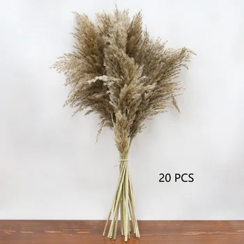 Naravno Sušene Pampe Travo Reed Rastline Doma Dekor Poročni Šopek Rož Kup Materialov Pero Posušen Cvet Naravnih Phragmites