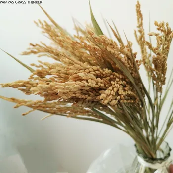 Brezplačna Dostava naravno sušene riž spike kup 15 izhaja uho riža čisto naravni riž ušesa spike od forhome decorrice