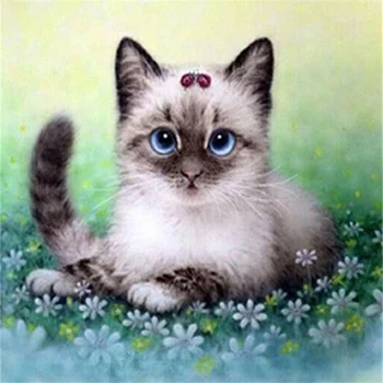 DIY 5D Diamond Slikarstvo Mačka Celoten Krog Vaja Živali Mozaik Diamond Vezenje Navzkrižno Šiv Okrasnih Stenske Nalepke Dekor Darilo