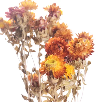 Naravno Sušene Vesel Chrysanthemum Umetno Cvetlični Šopek Cvetlični Dekor Ponaredek Cvet Daisy DIY Garland Doma Poroko Dekor