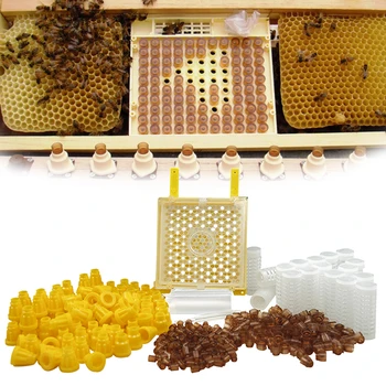 Nemčija Jenter Kraljica Reja Kit Nicot Čebeljih Matic Vzreja Sistem Queen Bee Ličinka Premikanje Kletko Blaga Orodje Za Čebelar Dobave