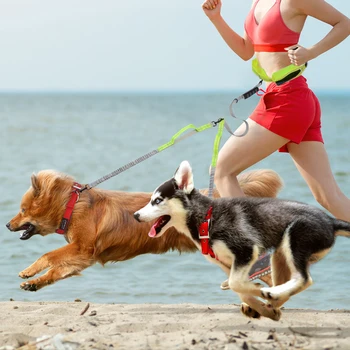 Proste roke, pes povodec, ki teče nastavljiv pas vodi vrv usposabljanje pasje elastična reflektivni dvojni ročaj jjeza povezka za dva psa