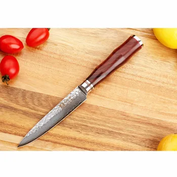 Sunlong Pripomoček Noži 5 palčni Odrezanje Japonski Noži Kladivo 67 plast VG10 Damask jekla Ročaj Palisander