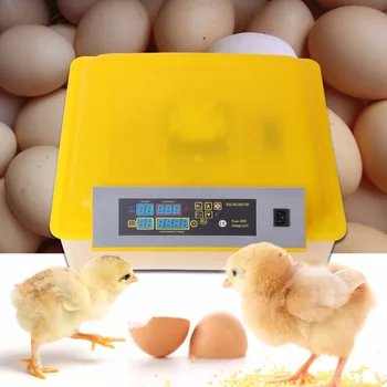 (Ladja iz Nemčije) 48 Jajca Inkubator Piščanec Samodejno Obrača Hatcher Temperatura Vlažnost Darilo
