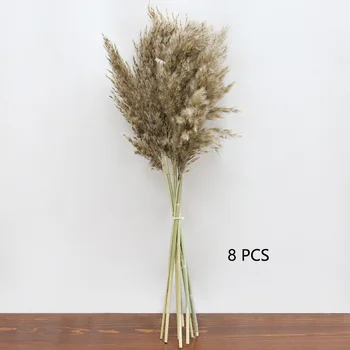 Naravno Sušene Pampe Travo Reed Rastline Doma Dekor Poročni Šopek Rož Kup Materialov Pero Posušen Cvet Naravnih Phragmites