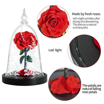 Rdeča Začaran Vrtnice z LED Luči V Stekleno Kupolo, Lepotica in Zver Cvetje Konzervirane Cvetje Mater Dan, Darila za Ženske
