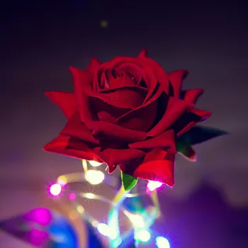 Umetne Vrtnice Cvetovi LED Luči Lepoto Zver V steklen Pokrov Poroko Božič Dom Dekor za Mamo valentinovo, Darila
