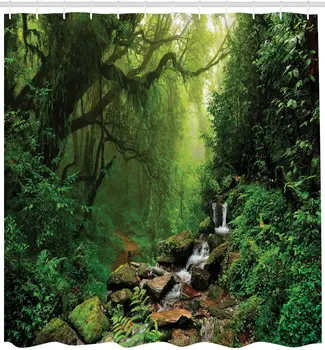 Zelena Rjava deževnega Gozda Tuš Zavesa Gozd Nepal Stezo divjih živali Pomladi Rastlin in Kamnov Vlage Vode Tiskanja