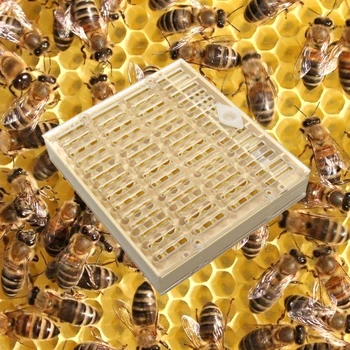 1 Kos Čebelarska Oprema Orodja Reja Queen Bee Sistem Plastična Škatla Za Profesionalni Čebelar