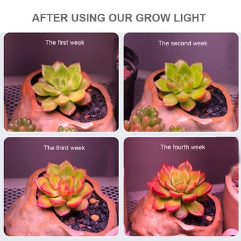 Fitolamp Zaprtih COB LED Grow Light Ffs Lučka Celoten Spekter Žarnice Za Rastline Luči Za Cvet, ki Raste Polje Sadik Cvetja, Gojenje