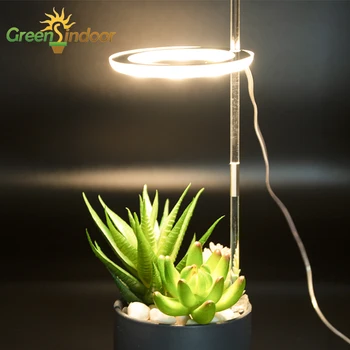 Phytolamp Za Orhideje Celoten Spekter LED Grow Light Desk USB Ffs Lučka 5V Notranja Lučka Za Rastline, Sadike Doma Rastejo Polje Cvetja