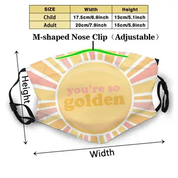 Vas' ; Re Zato Zlati 3d Tiskanja za Večkratno uporabo Usta Masko Stroj Filter Proti Prahu Masko Harry Styles Zlati Zlati