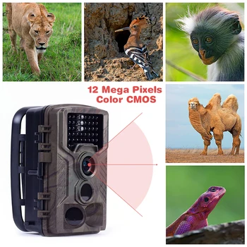 12MP HC800M Divje Kamero, MMS, GPRS Digitalni Ogled Lovske Kamere Foto Past Fotoaparat Nočno opazovanje divjih živali Fotoaparat