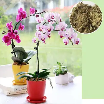 1pcs 6L Cvetje, Lončnice Cvetje Multi-meso Gojenje Matriks Voda Moss Suho Vodo Moss Metulj Orhideja Hranil Tal