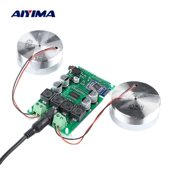 AIYIMA 2 Palca Avdio Prenosni 25 W Resonanco, Vibracijsko Zvočnik TPA3118 Bluetooth 5.0 Ojačevalnika Zvoka v Zvočnik DC 12V 5A