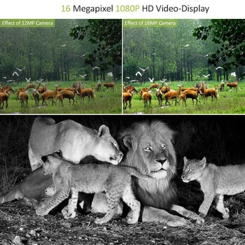 Pametne Kamere SQ11 1080P Full HD Avto Video Snemalnik Doma Kamere Mini Lovske Kamere Za Zunanjo Wildlife Chasse Oprema