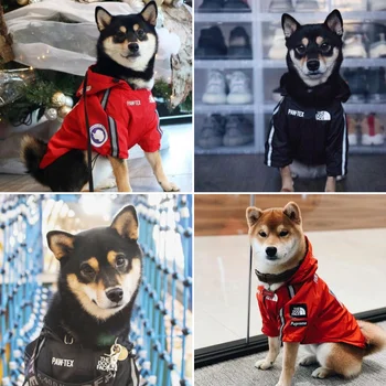 Pozimi pet oblačila za pse, jakna, nepremočljiva, windproof moda za hišne živali oblačila plašč francoski buldog pug chihuahua hoodie Ropa Perro