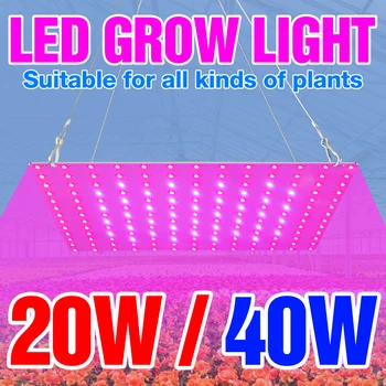 20W 40W Celoten Spekter Ffs Svetlobe LED Grow Svetilka Cvet Hydroponics Rastline Rasti Polje US UK EU 220V Semena Gojenje Zelene Hiše