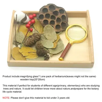 Montessori Organoleptične Materialov Narave Rastline Opazovanje Juguetes Montessori Izobraževalne Lesene Igrače Za Otroke YF0564H