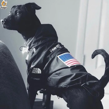 Pozimi pet oblačila za pse, jakna, nepremočljiva, windproof moda za hišne živali oblačila plašč francoski buldog pug chihuahua hoodie Ropa Perro