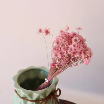 Resnično Posušena Večno Malo Star Cvet Daisy Šopek Za DIY Materiala Poročni Sobi Doma Stranka Valentinovo Darilo Dekoracijo